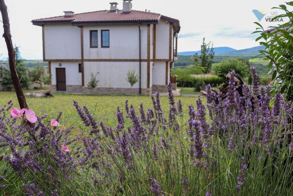Bed and Breakfast Vis Velika Exteriér fotografie